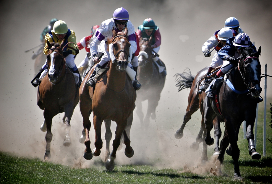 Courses Hippiques – LudovicLetot.fr