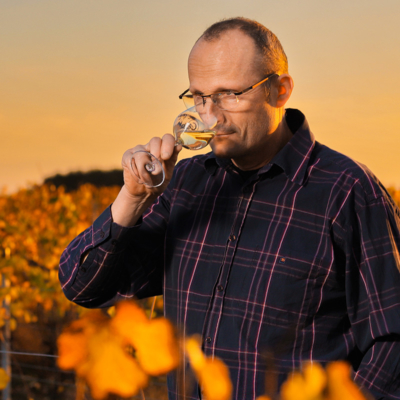 Portraits-Thierry Gosseaume Vigneron